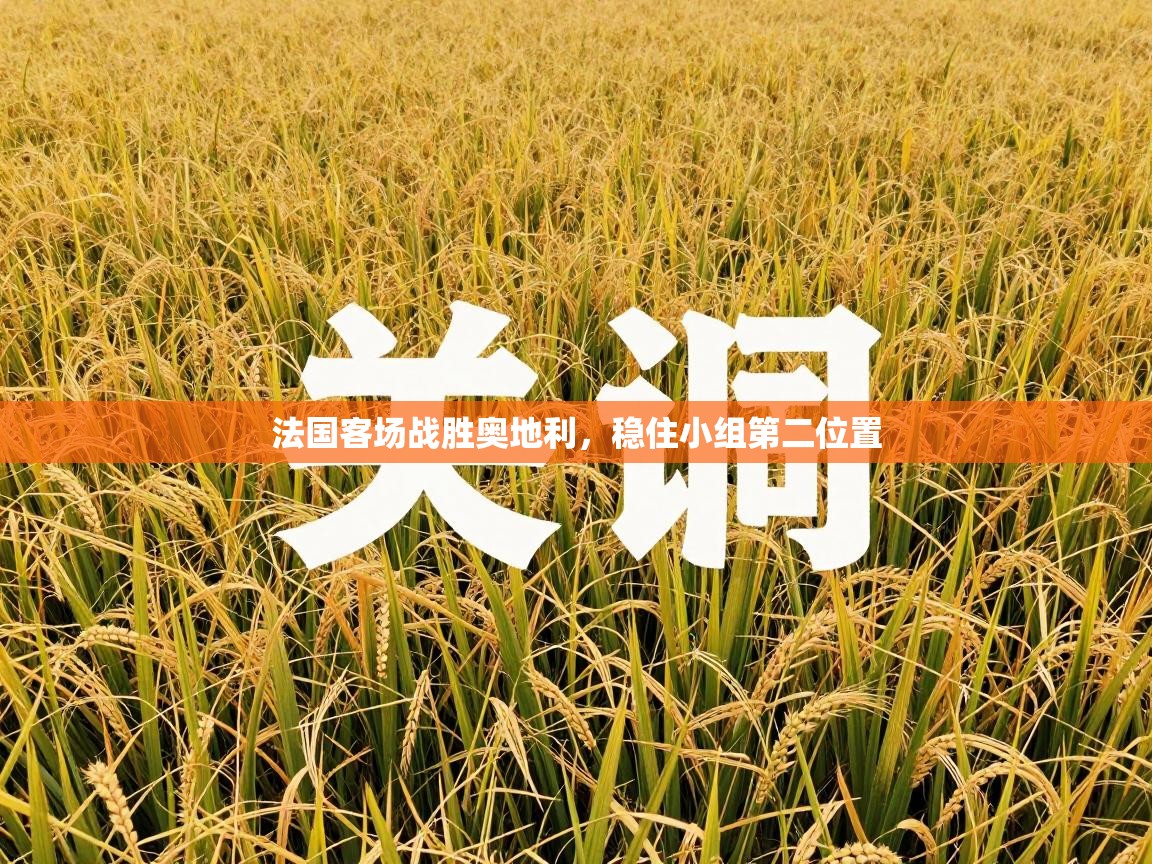 法国客场战胜奥地利，稳住小组第二位置