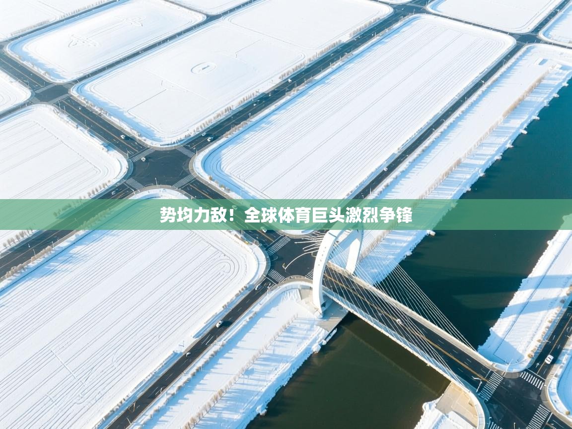 势均力敌！全球体育巨头激烈争锋  第2张