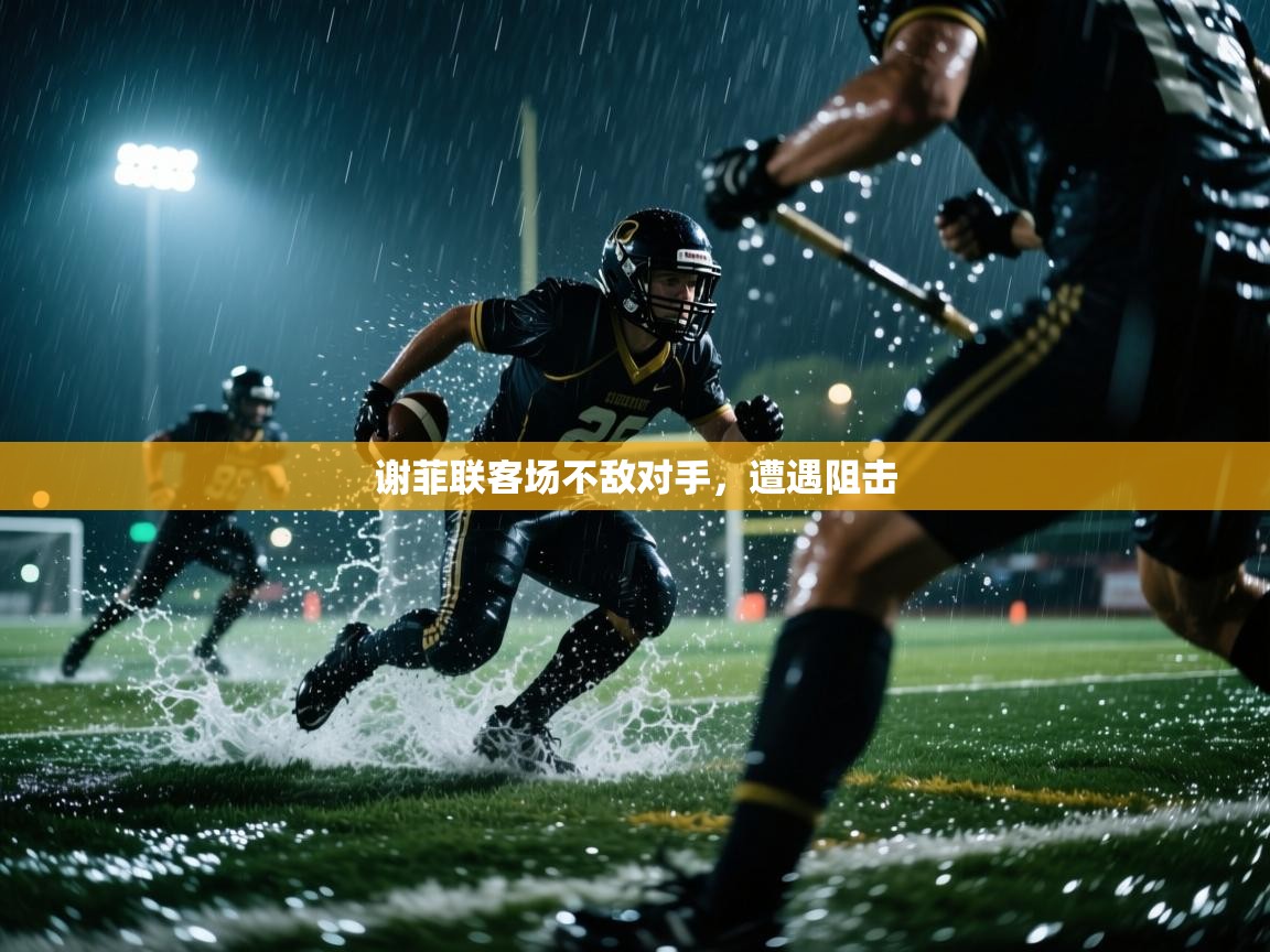 谢菲联客场不敌对手，遭遇阻击  第2张