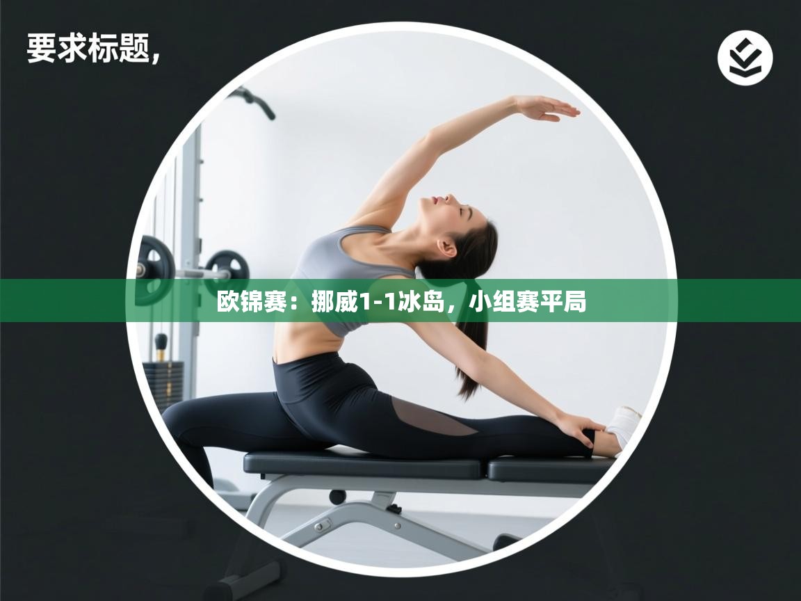 欧锦赛:挪威1-1冰岛,小组赛平局 第2张