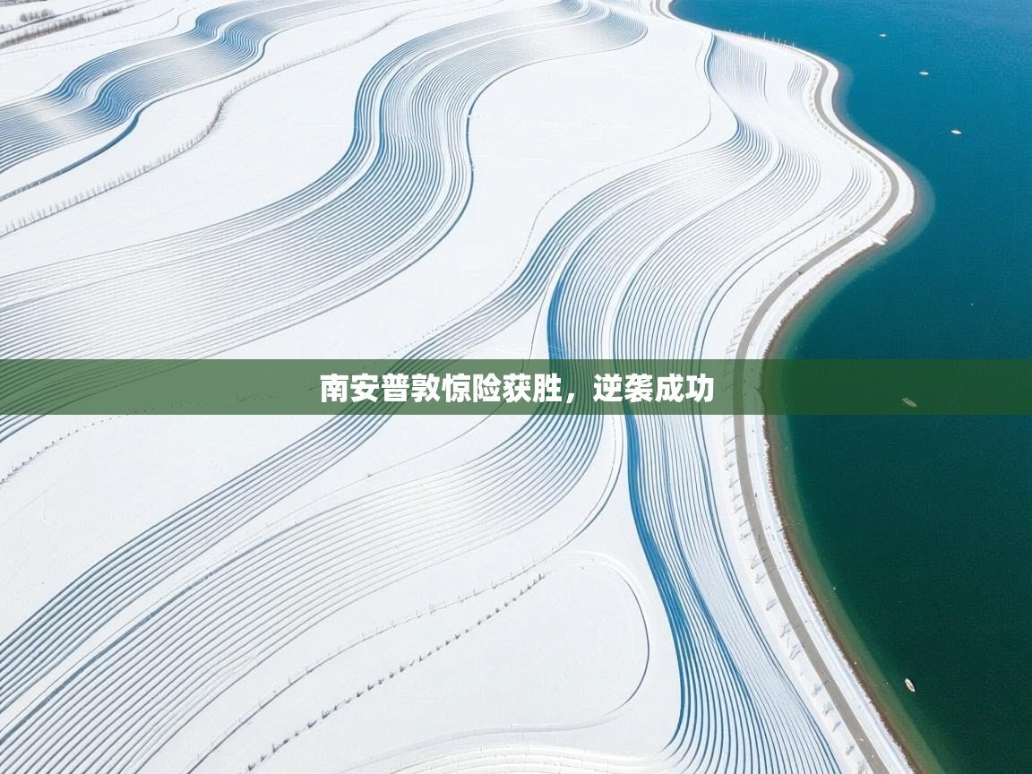 南安普敦惊险获胜，逆袭成功  第2张