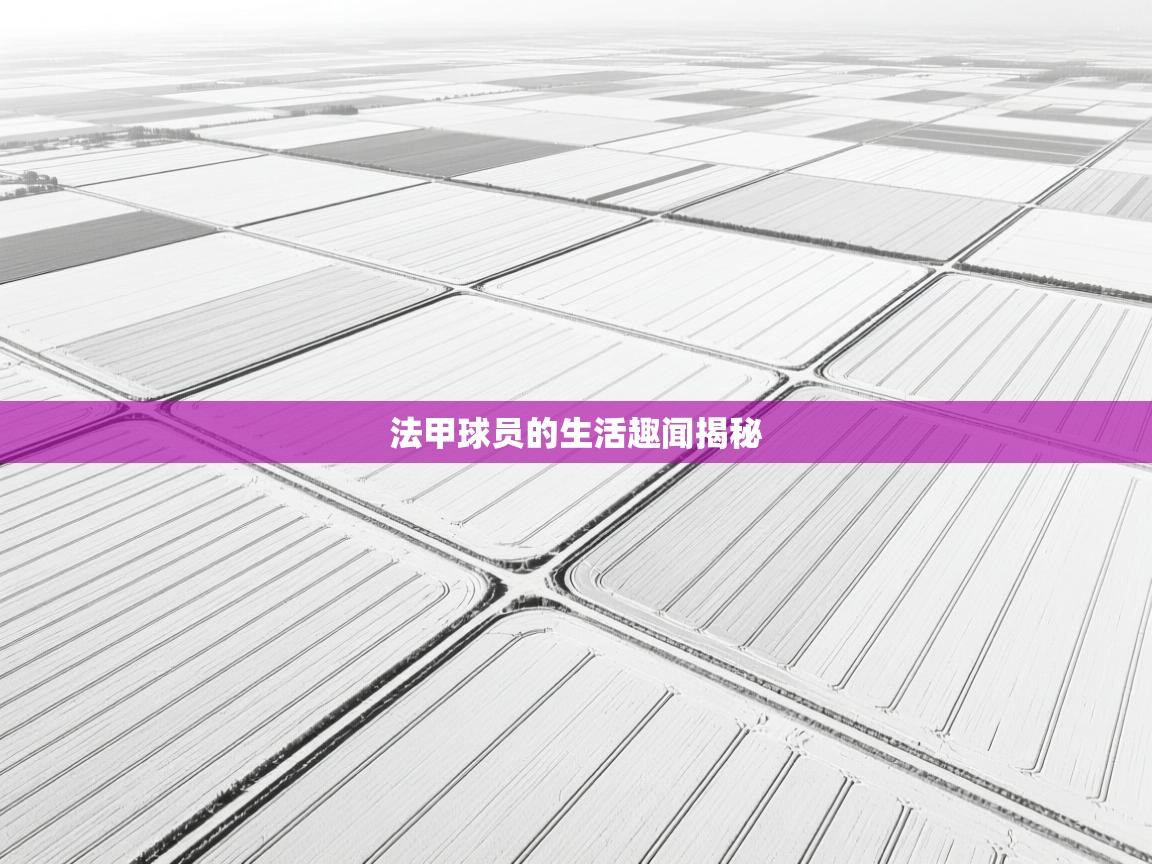法甲球员的生活趣闻揭秘
