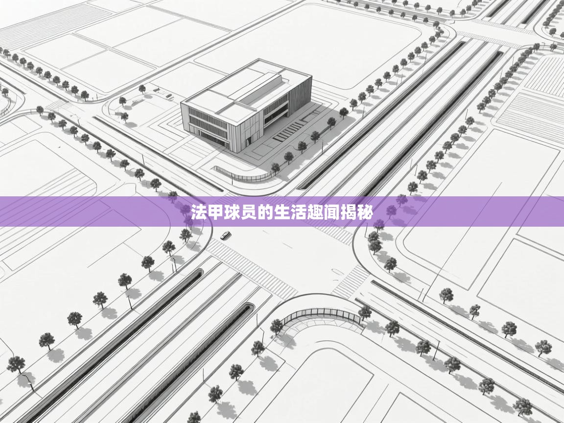 法甲球员的生活趣闻揭秘  第2张