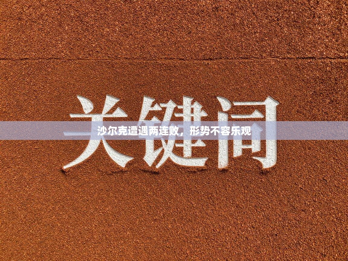 沙尔克遭遇两连败，形势不容乐观  第2张