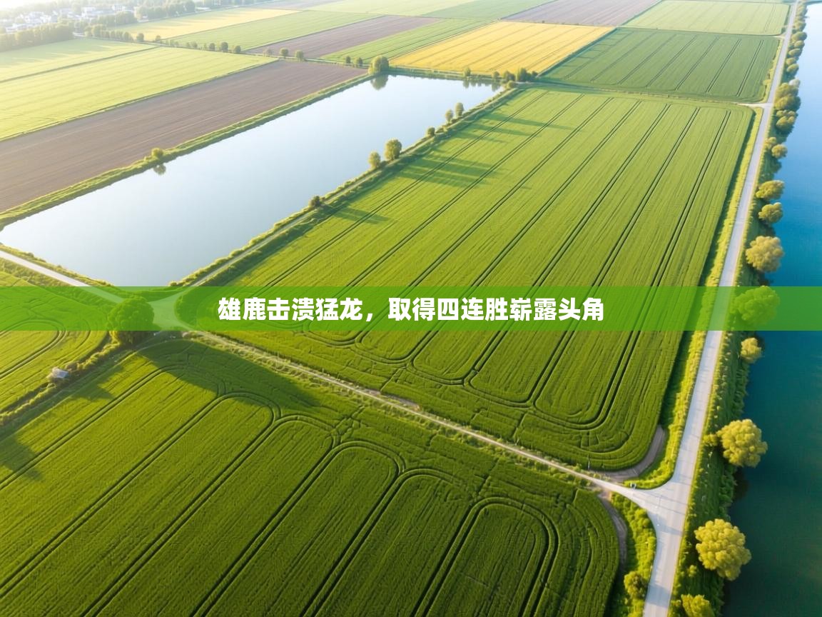 雄鹿击溃猛龙，取得四连胜崭露头角